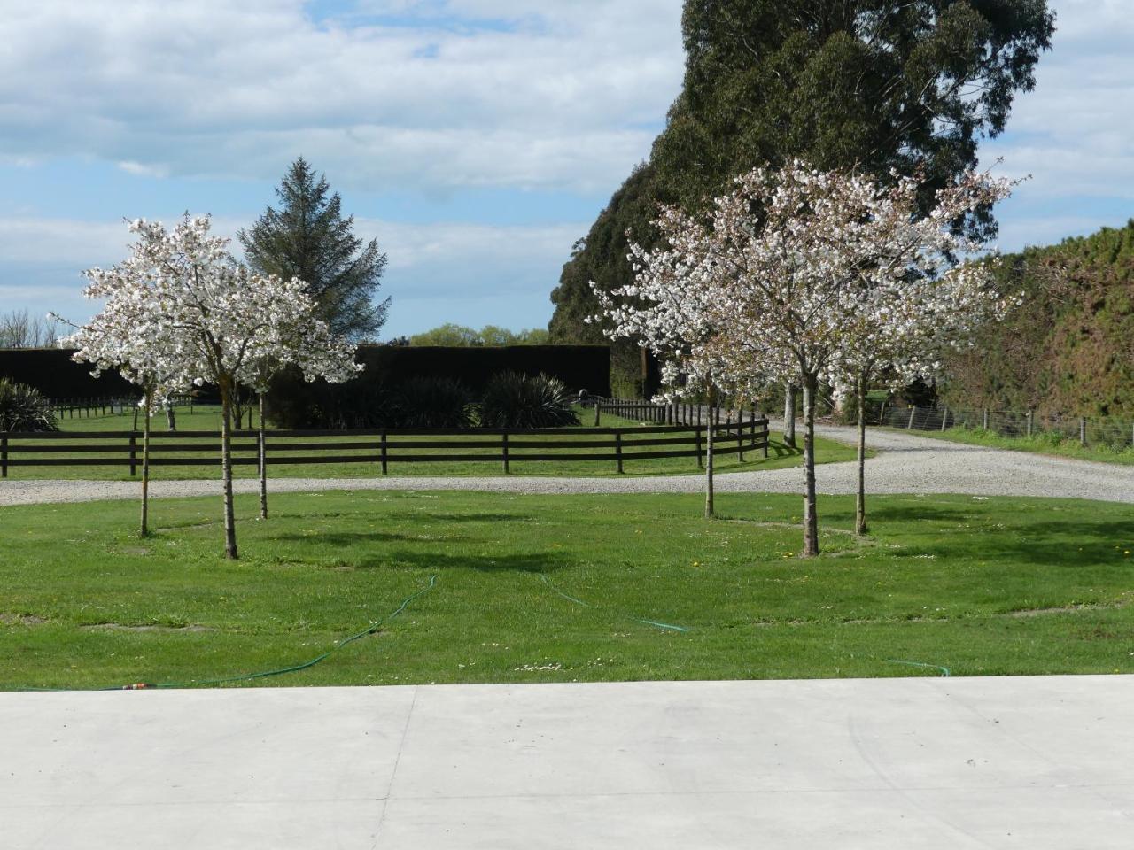 Bramley'S Stables And Accommodation Rangiora Exterior foto
